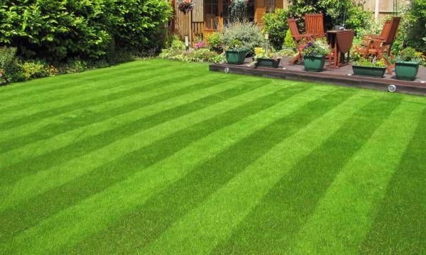 The Beauty of Artificial Turf: A Perfect Choice for Homes & Businesses in Victoria, BC