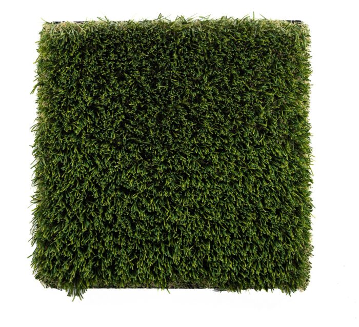 Premium Grass Blades Evergreen Elite Top Profile