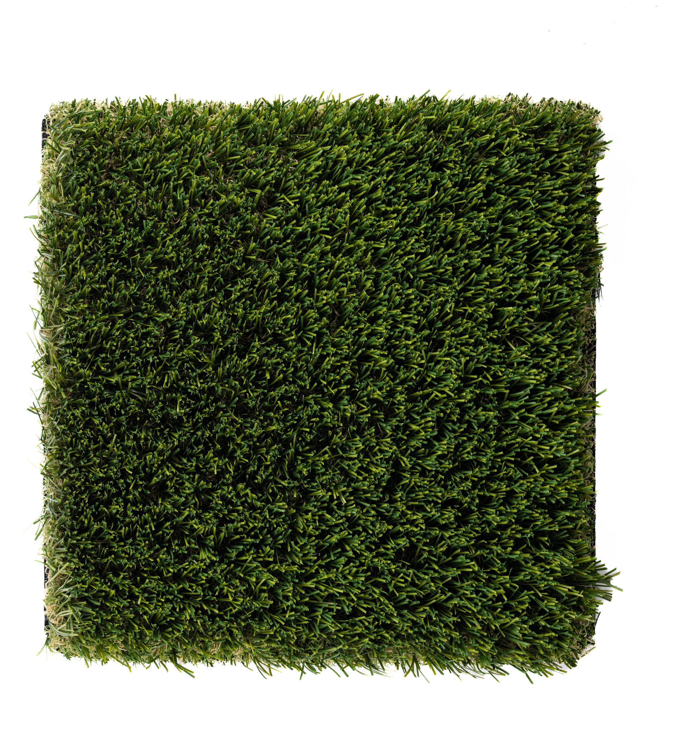 Premium Grass Blades Synthetic Artificial Turf: Evergreen Elite-Top Profile