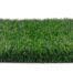 Premium Grass Blades Lush Angle Profile