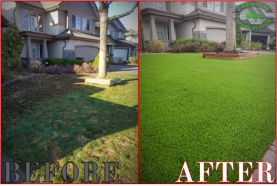 Premium Grass Blades Synthetic Artifical Turf EverGreen Before After Results