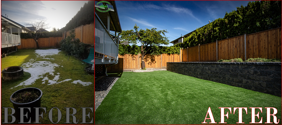 Premium Grass Blades Synthetic Artifical Turf Lush Before After Results