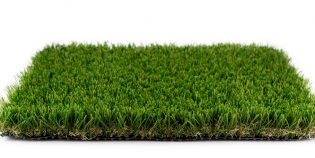 Evergreen synthetic turf