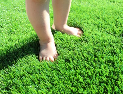 Longevity: The Do’s and Don’ts of Artificial Turf