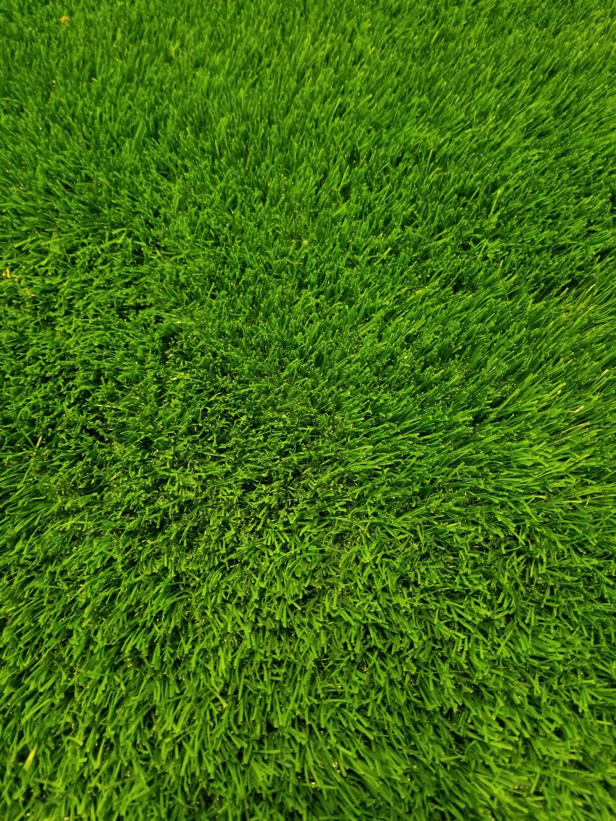 Lush Synthetic Grass Premium Grass Blades in Mission BC