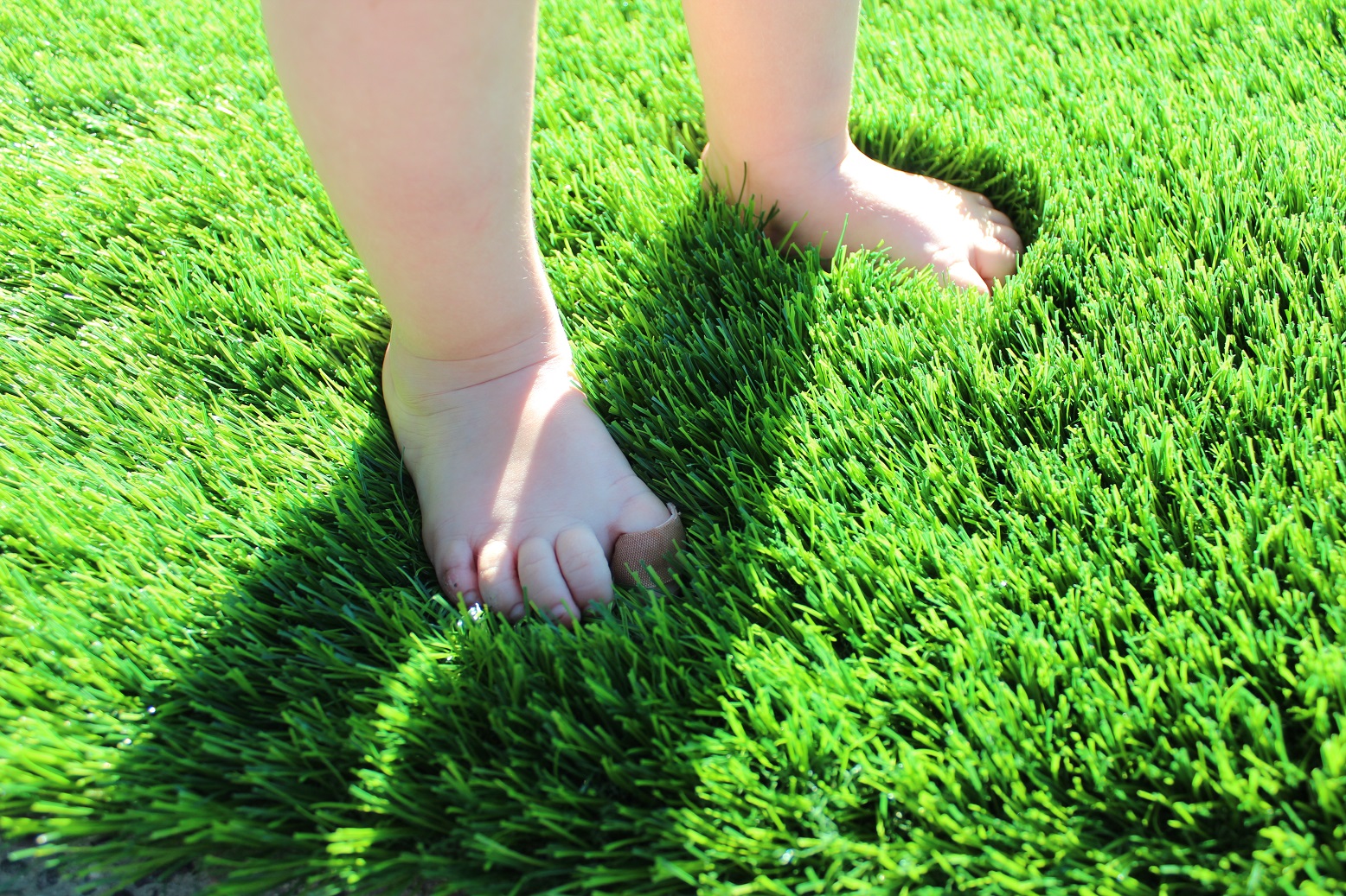 Premium Grass Blades Lush in Vancouver Rooftop Patio