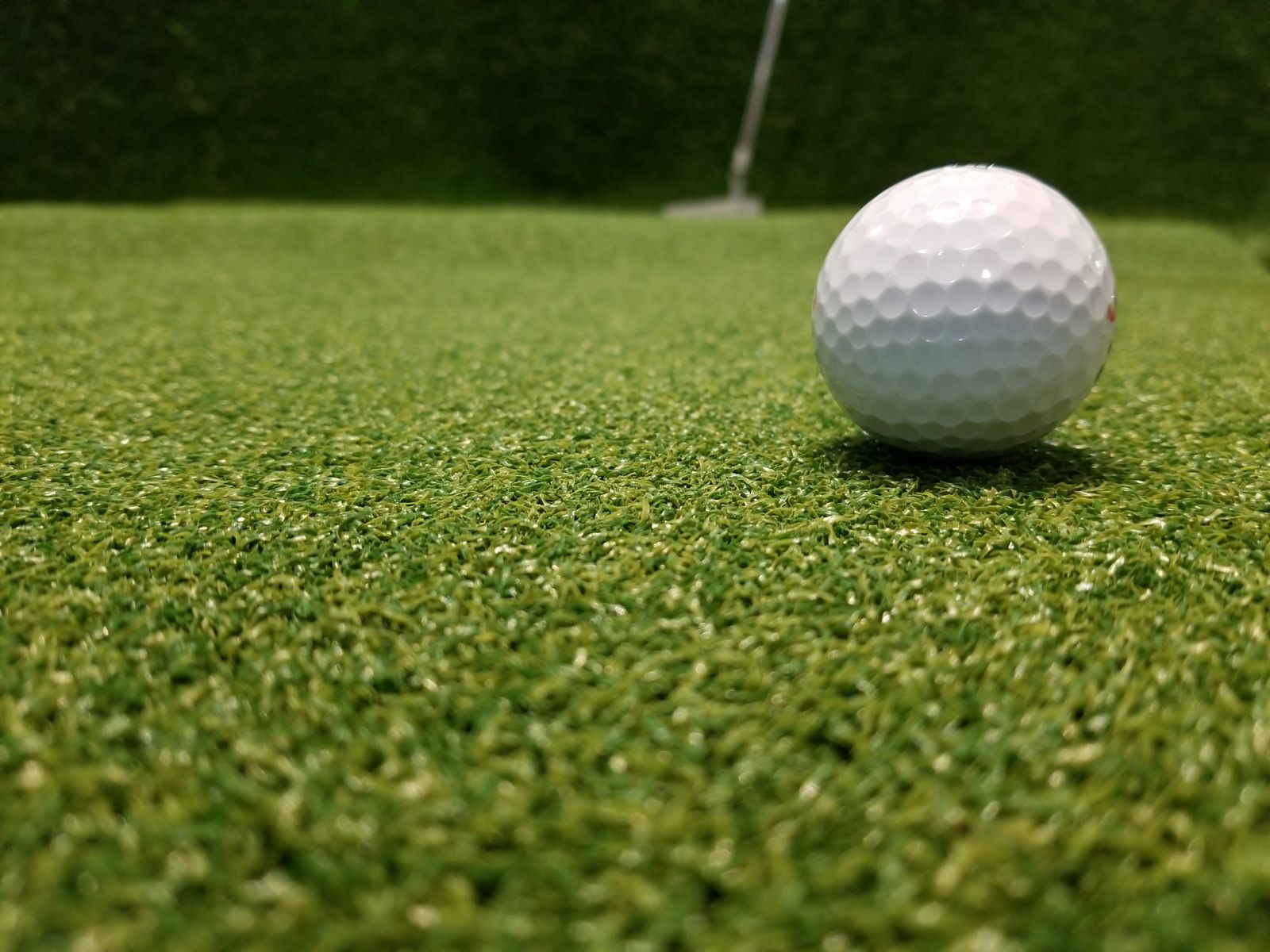 Premium Grass Blades Synthetic Artificial Turf: Putting Green-Top Profile Close-Up
