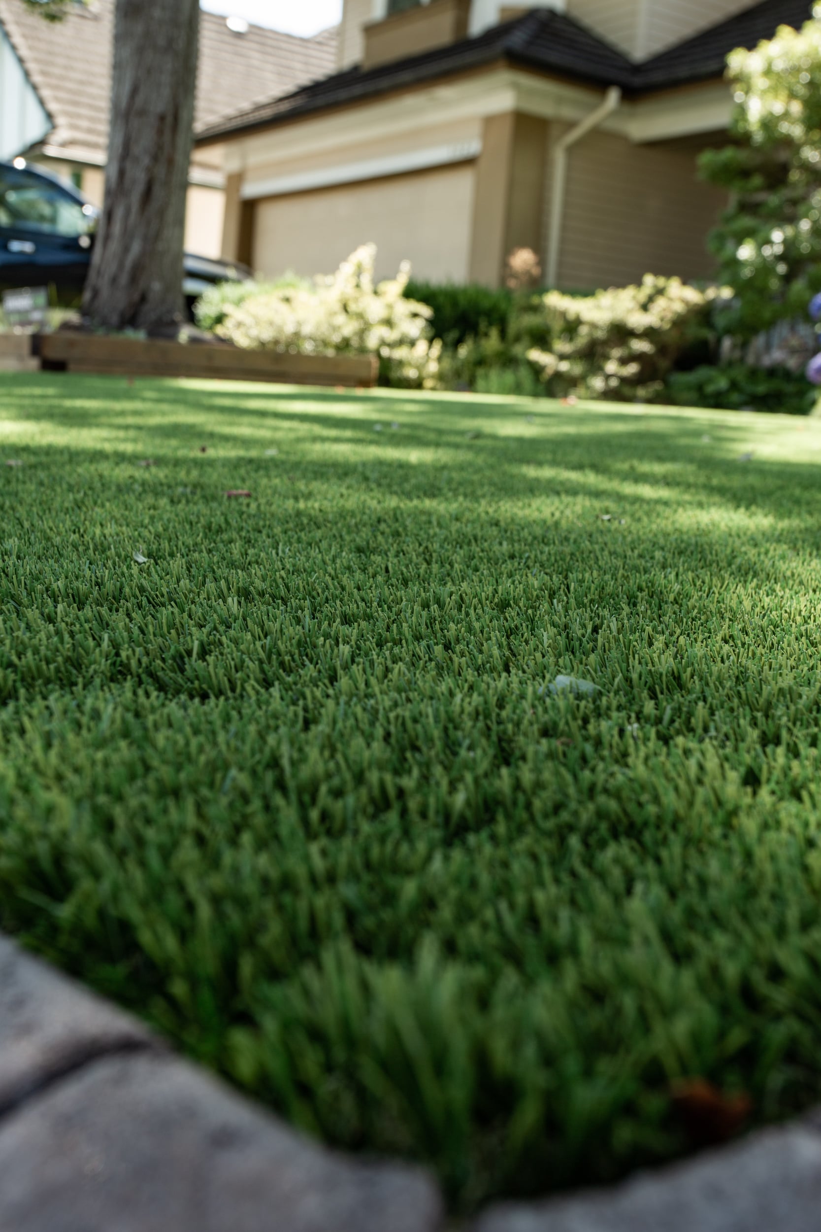 Premium Grass Blades Synthetic Artificial Turf Evergreen Roll Port Coquitlam