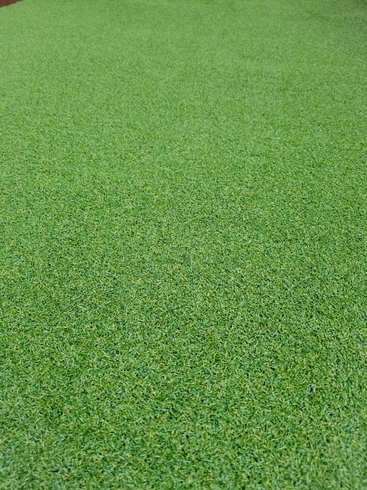 Premium Grass Blades Synthetic Artificial Turf: Putting Green Project-Surrey