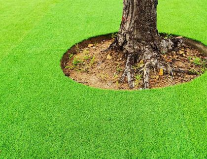 Artificial grass around a large tree in a yard
