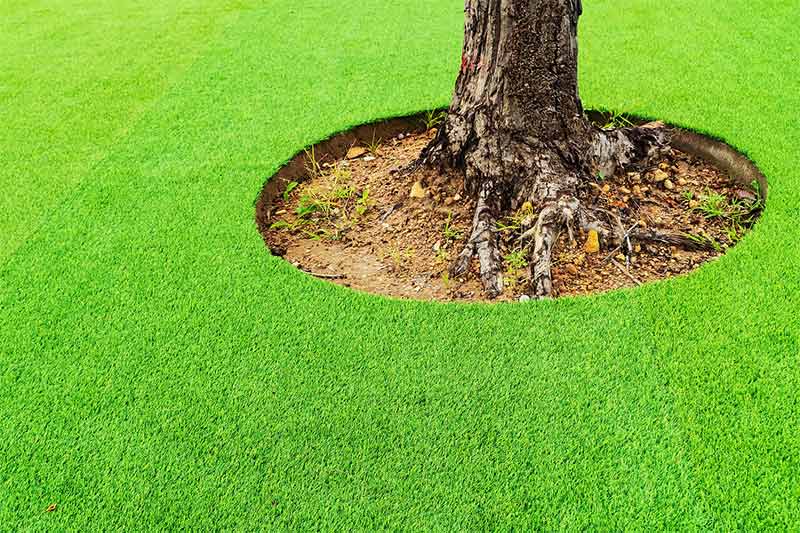 Artificial grass around a large tree in a yard