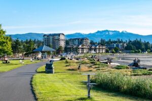 Artificial Grass in Parksville