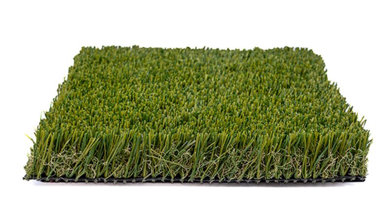 Forest Green Elite