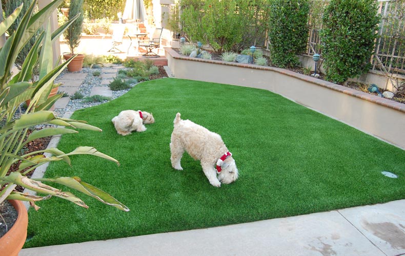 Benefits of Premium Grass Blades’ Artificial Turf for Pet Owners