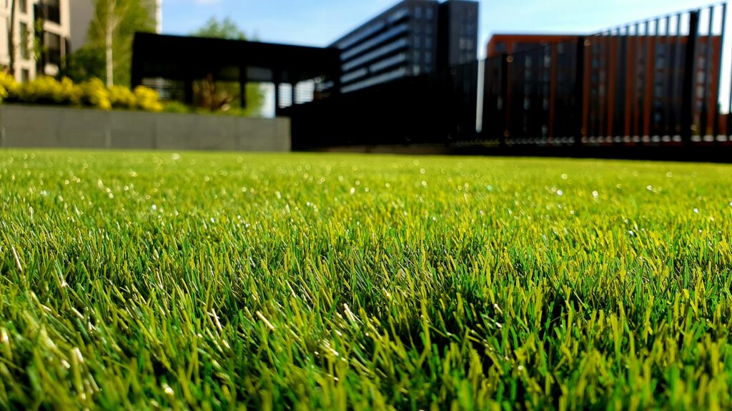 Artificial Turf in BC