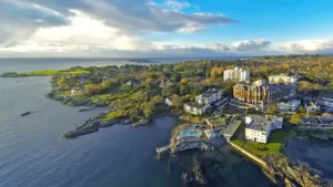 ARTIFICIAL TURF IN OAK BAY